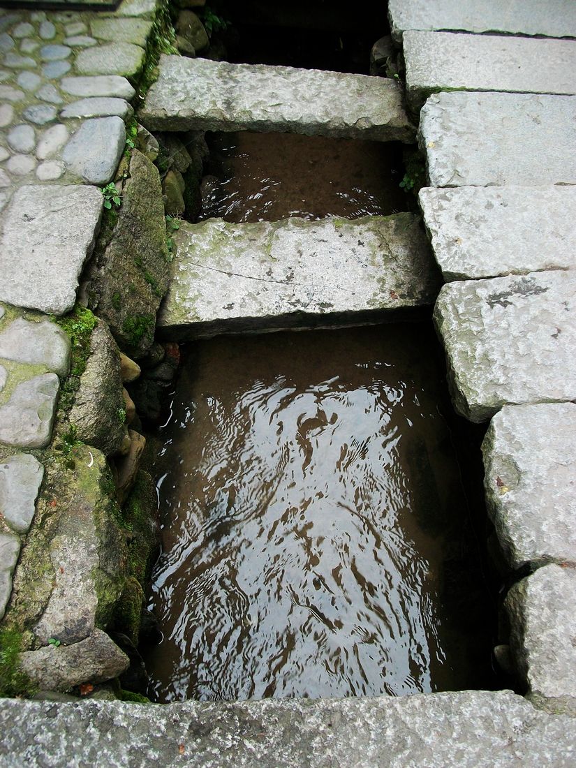 100_2266.jpg
