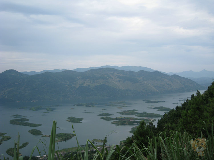img_4973.jpg