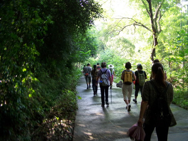 100_0369.jpg