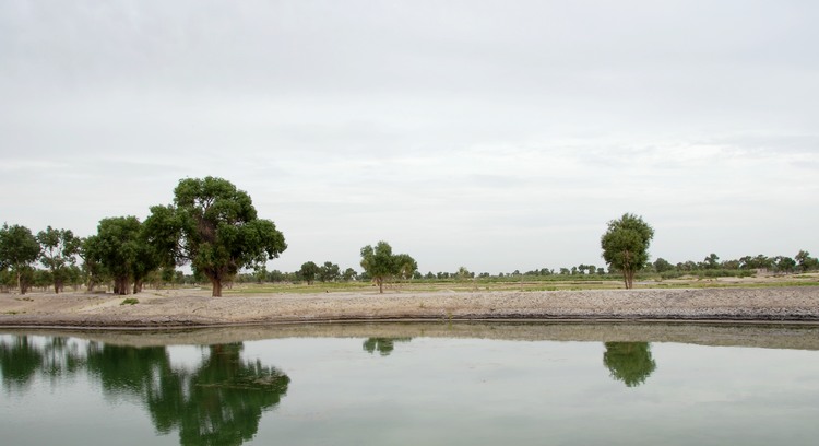 dsc_1266.jpg