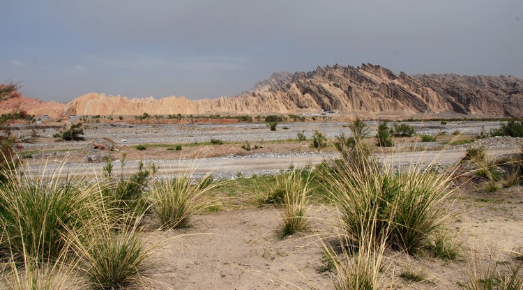 dsc_1370.jpg