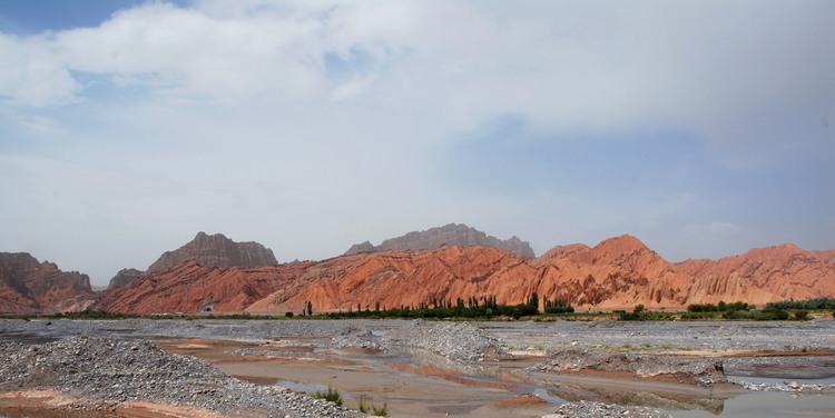 dsc_1371.jpg