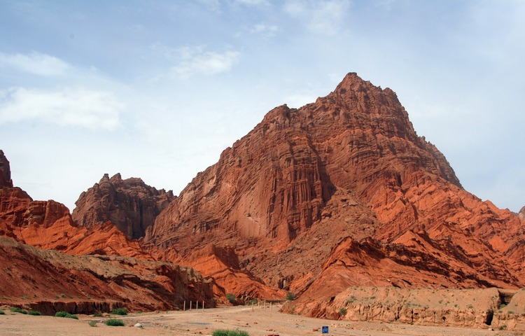 dsc_0010.jpg