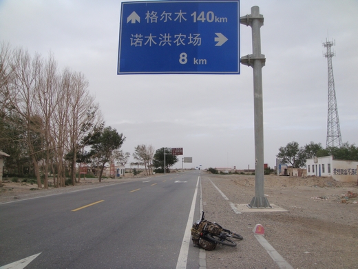 neo_img_dsc07043.jpg
