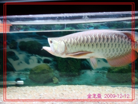 neo_img_neo_img_neo_img_dsc04121.jpg