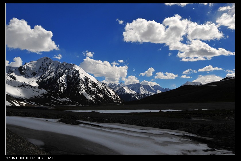 dsc_8302.jpg