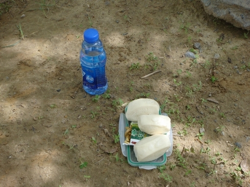 neo_img_dsc07029.jpg