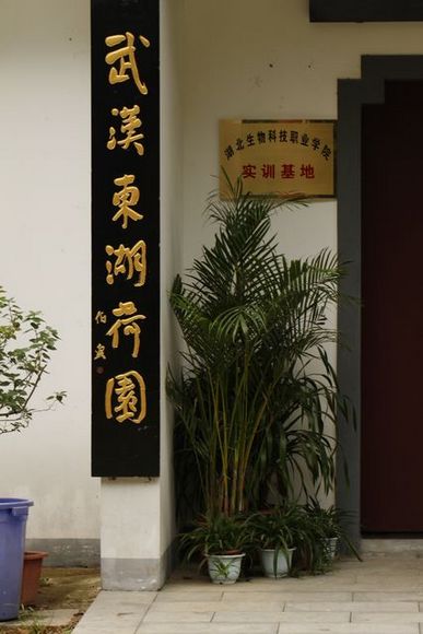 img_4780.jpg