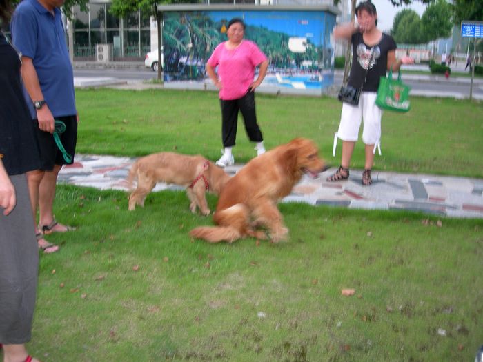 dscn9260.jpg