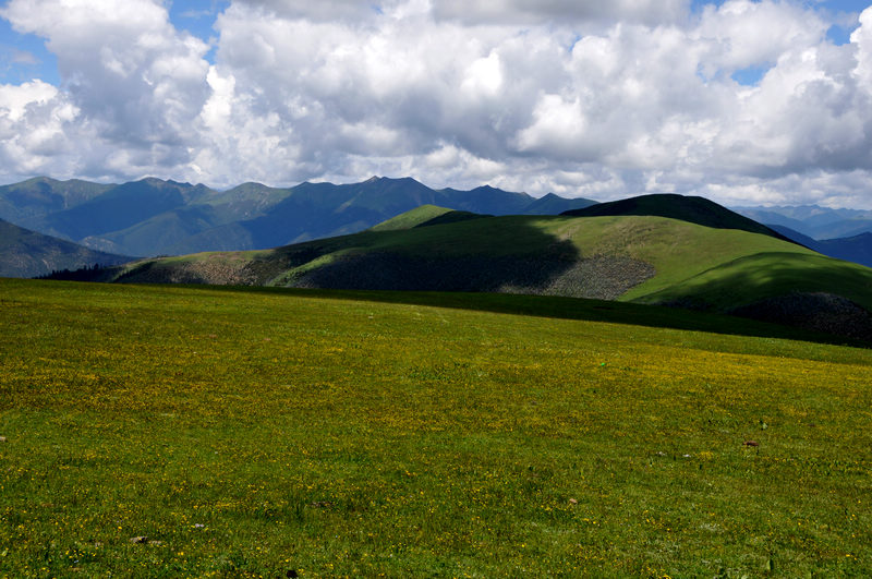 dsc_9497.jpg