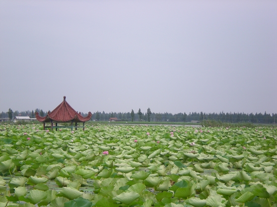 dscn6758.jpg