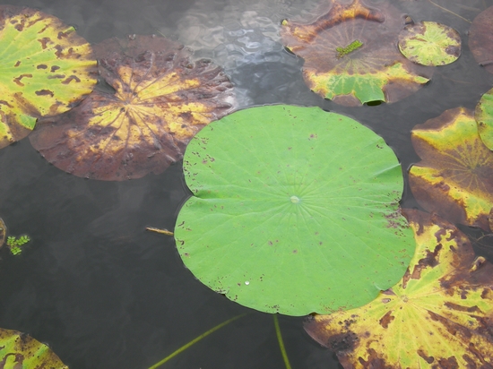 dscn6772.jpg