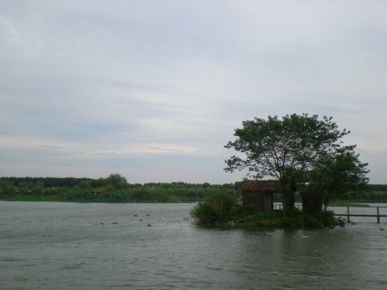 dscn6791.jpg