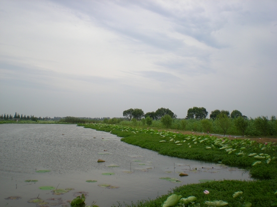 dscn6792.jpg