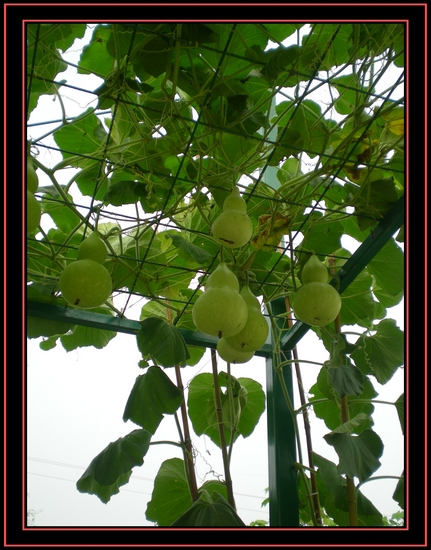 dscn6707.jpg