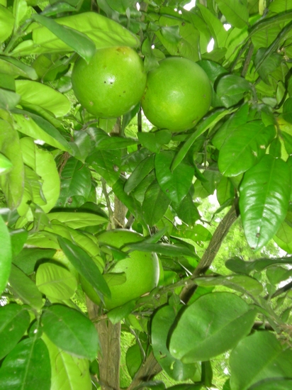 dscn6801.jpg