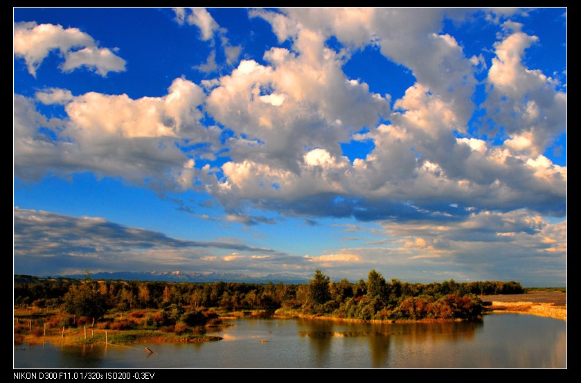 dsc_5996.jpg