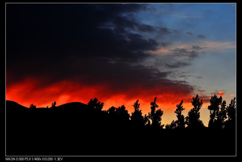 dsc_6530.jpg