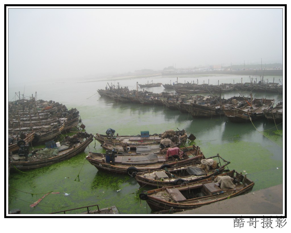 conew_img_1816.jpg