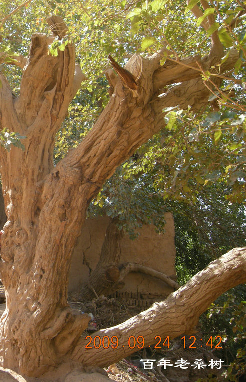 dscn4514.jpg
