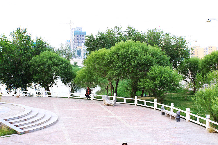 neo_img_img_4581.jpg