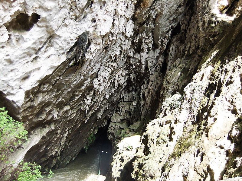 dscf1407.jpg