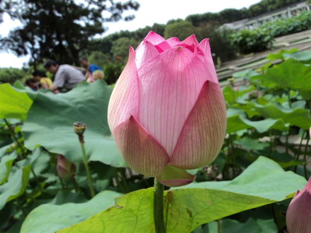 dsc03140.jpg