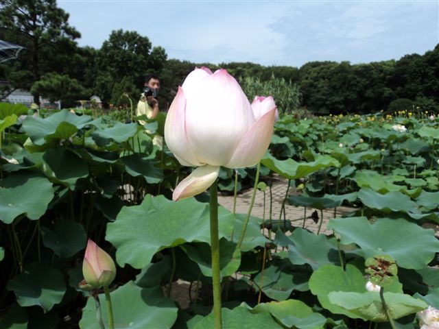dsc03143.jpg
