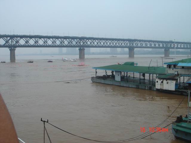 dsc08445.jpg