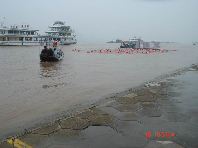dsc08448.jpg