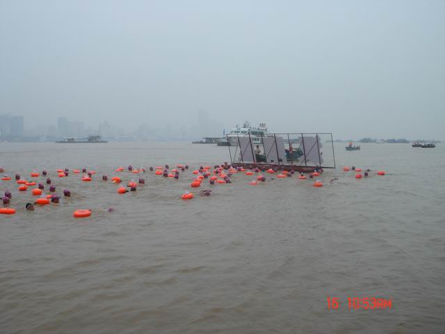 dsc08452.jpg
