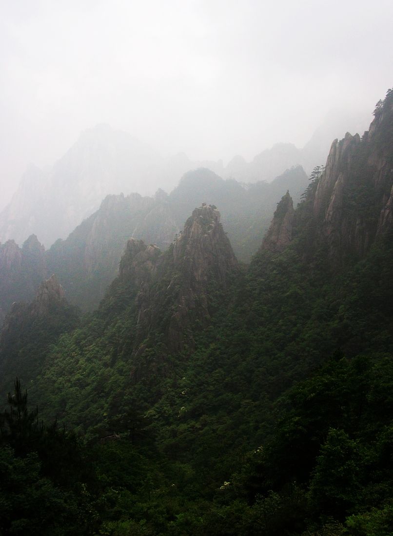 100_2028.jpg
