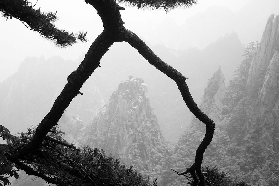 100_2031.jpg