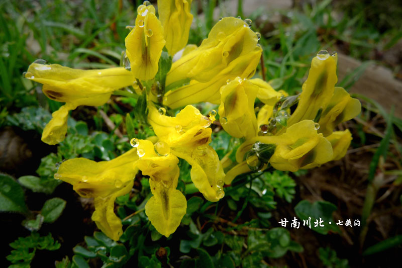 p1010321.jpg