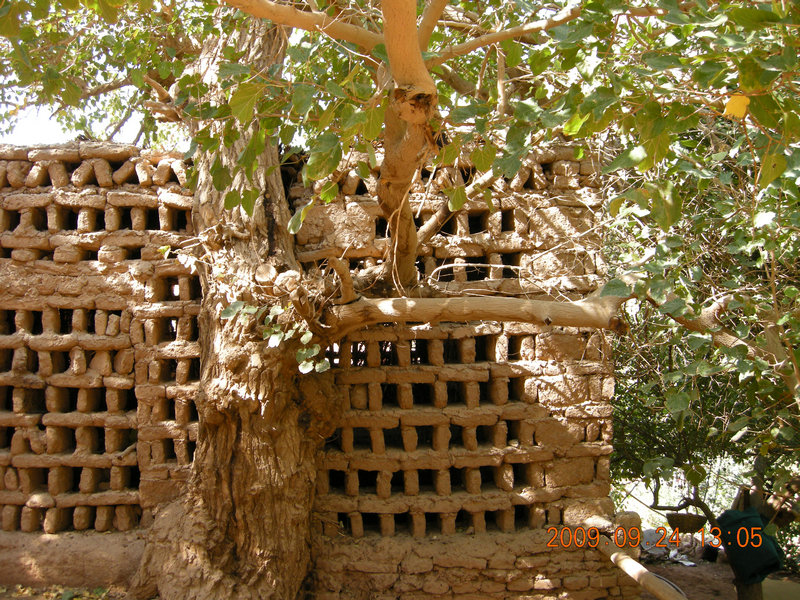 dscn4533.jpg