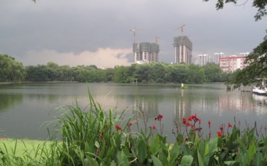 06.jpg