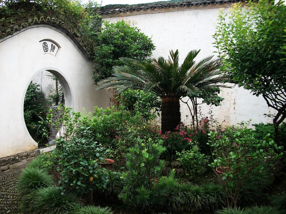 100b2230.jpg