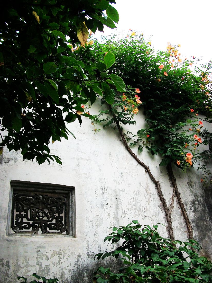 100b2170.jpg