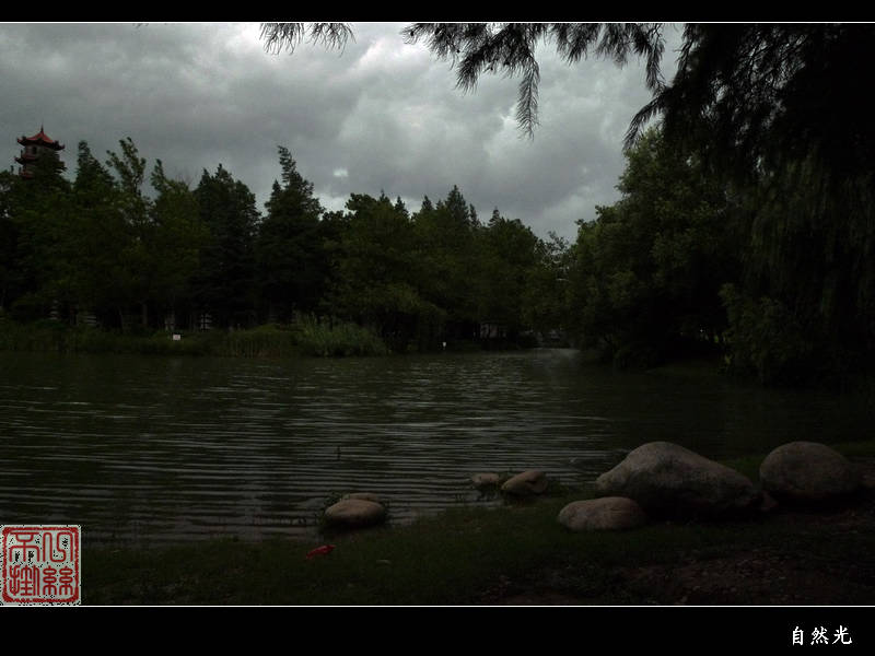 l1130157.jpg