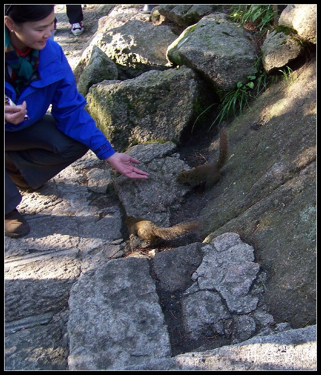2010年0524黄山e观飞来石 (39)x.jpg
