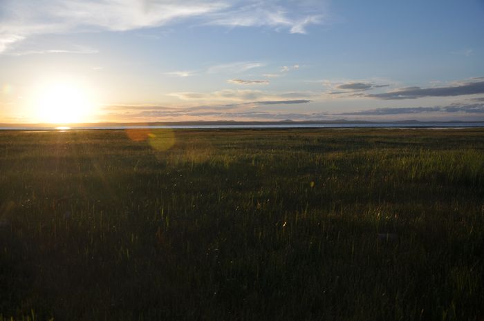 dsc_0170.jpg
