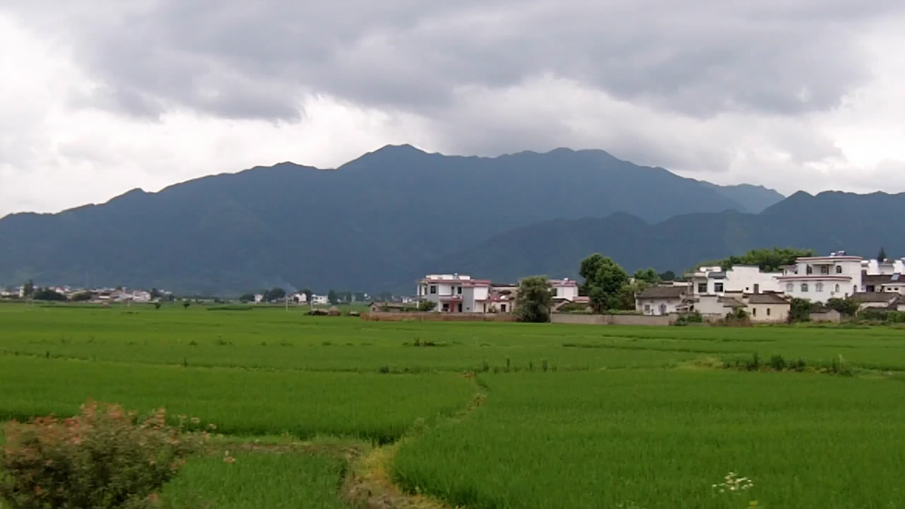 file035320100710-2345335.jpg