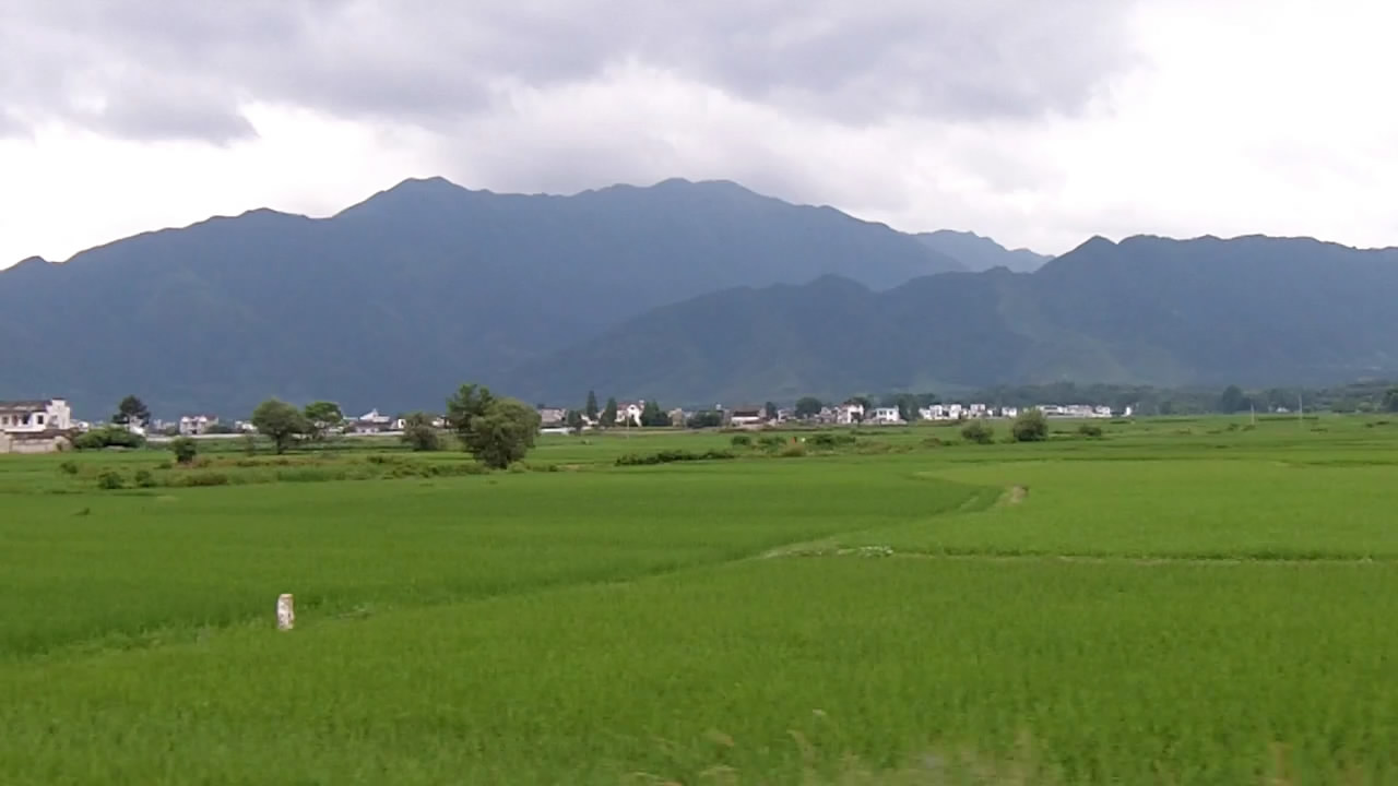 file035320100710-2346018.jpg
