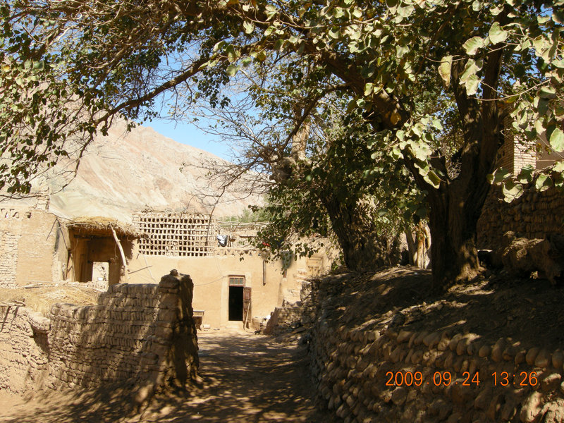 dscn4559.jpg