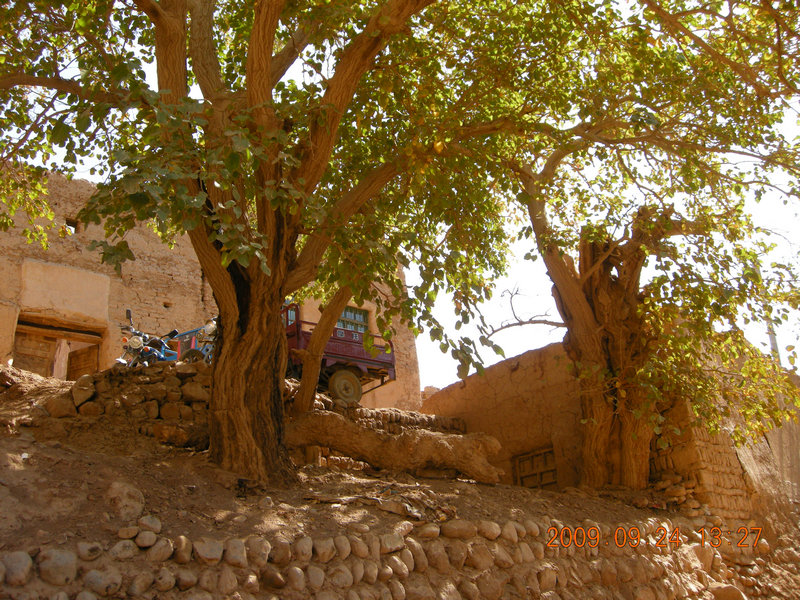 dscn4560.jpg