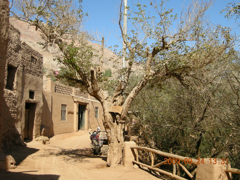 dscn4569.jpg