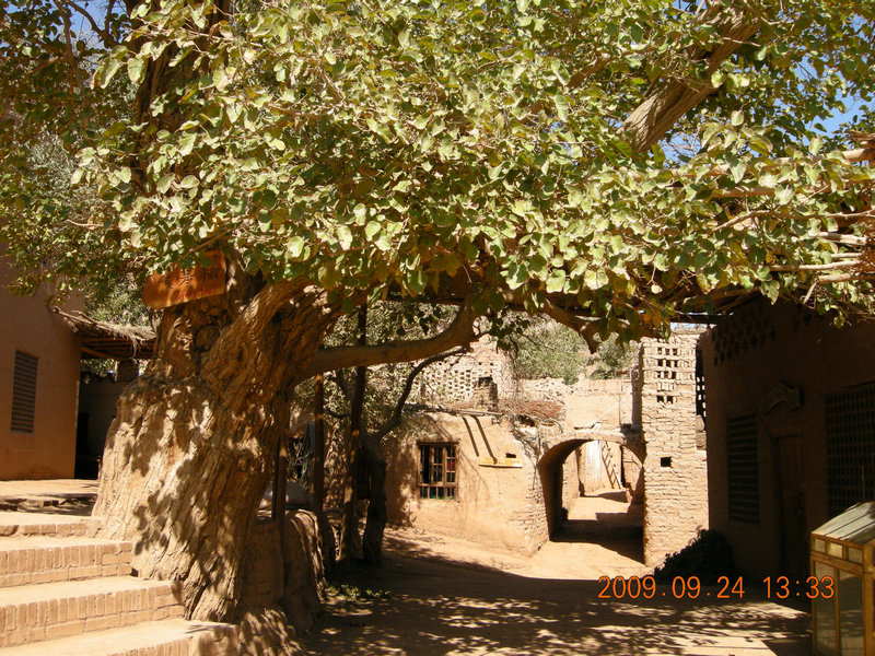 dscn4573.jpg