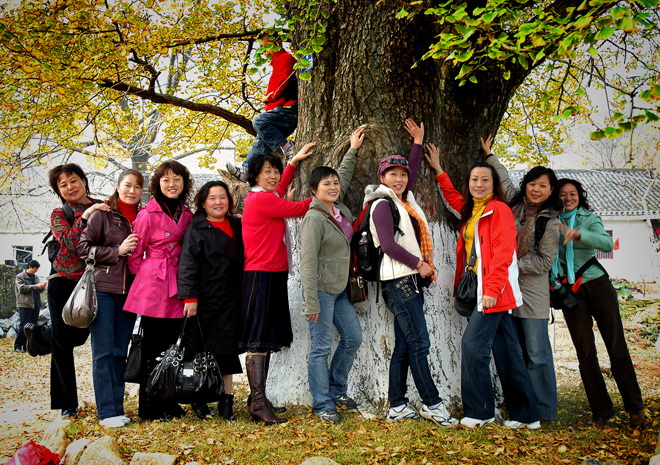 2008111682234.jpg