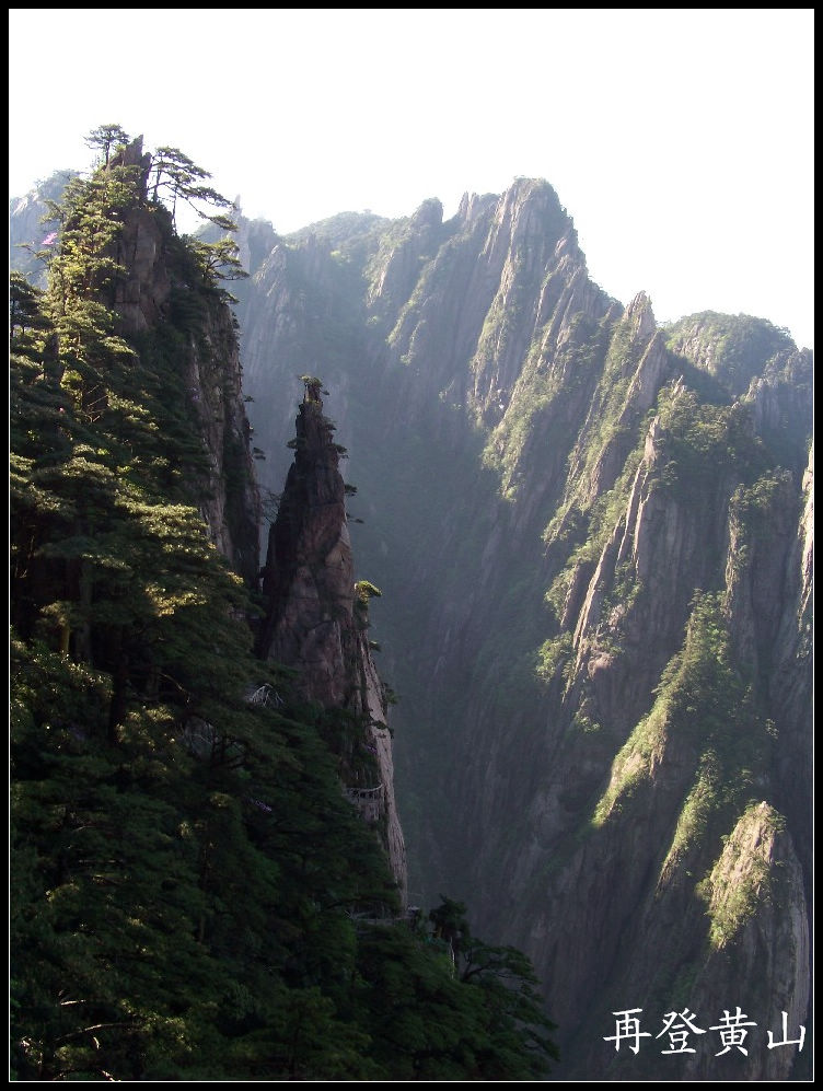 20100524ɽjϿ (16)758.jpg