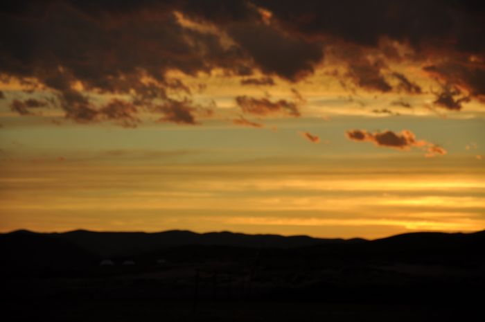 dsc_0645.jpg